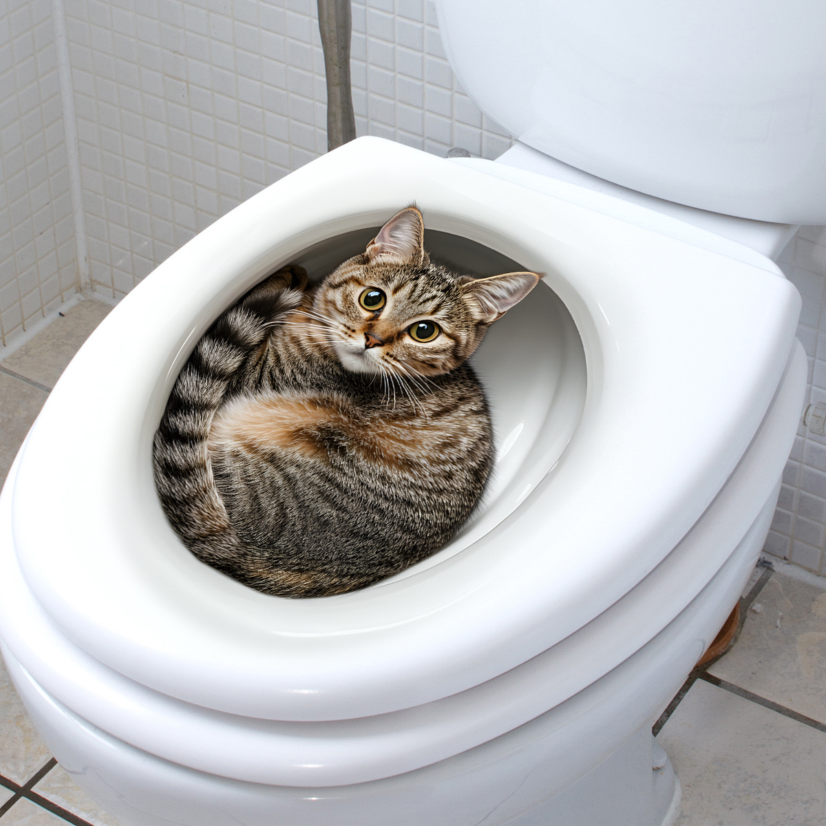 Stiker Toilet Kucing Lucu 3D S - Tiny Home Bathroom Kit ulasan dan harga